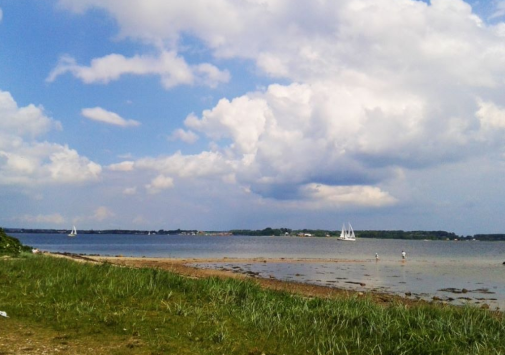 A photo of a beach on the German-Danish border, with sailboats in the background.